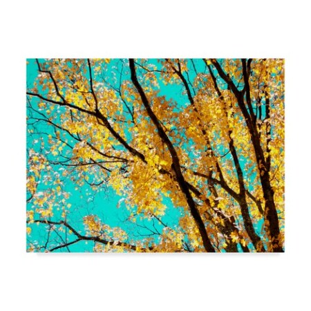 Judy Stalus 'Autumn Tapestry Iv' Canvas Art,35x47
